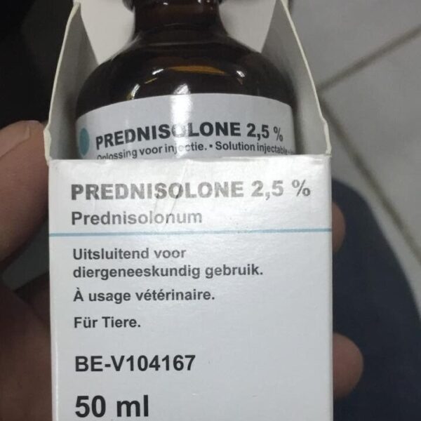 Buy Prednisolone 2.5% Injection Online