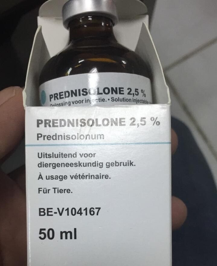 Buy Prednisolone 2.5% Injection Online