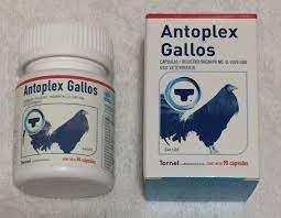 Buy Antoplex Gallos