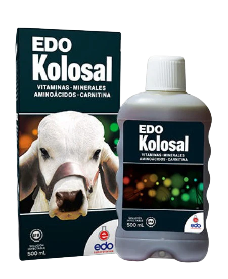 Buy Edo Kolosal