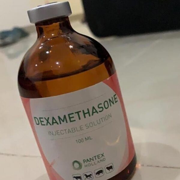 Dexamethasone injection 100ml