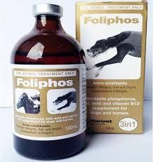 FOLIPHOS INJECTION 100ML
