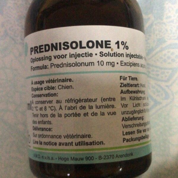Buy Prednisolone 1% Online