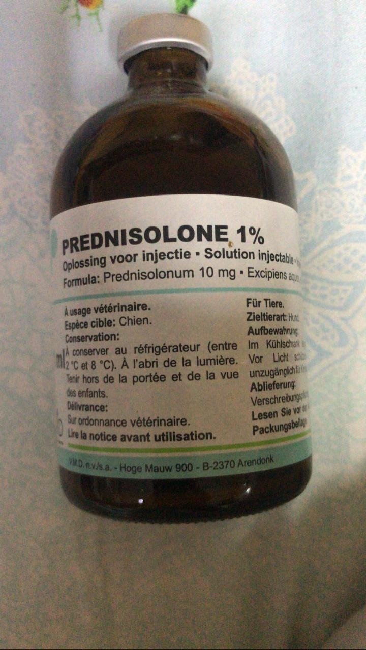 Buy Prednisolone 1% Online