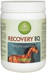 Recovery EQ Powder 2.2