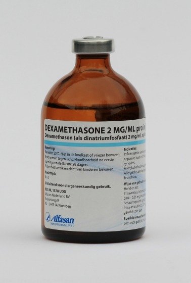 Dexamethasone 2 mg/ml 100 ml