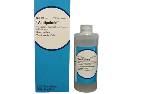 Buy Ventipulmin Syrup 330ml