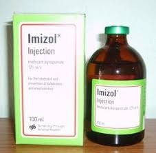 imizol-1.jpg