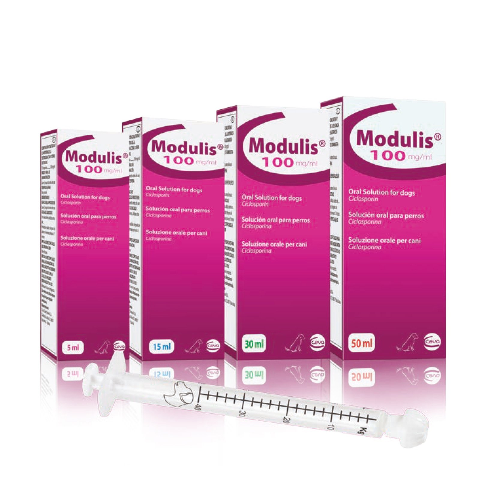modulis-1.jpg