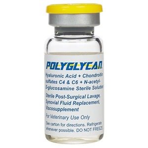 Buy Polyglycan 10ml