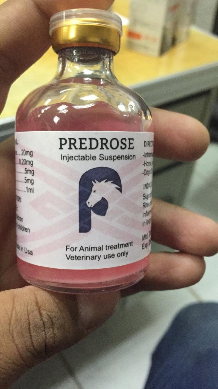 Buy Predrose Injectable