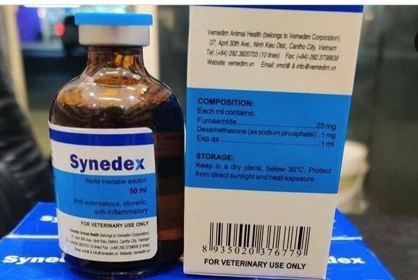 Buy Synedex 50ml Online