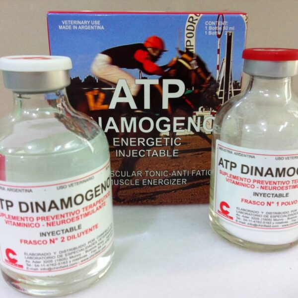 atp dinamogeno