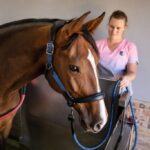 Weight and Condition