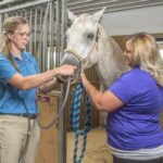 Performance Supplements