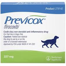 Order Previcox Online