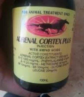 Adrenal-Cortex-Plus.jpg