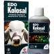 Buy Edo Kolosal