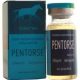 Pentorse-6ml.jpg
