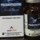 Buy Predniprozine
