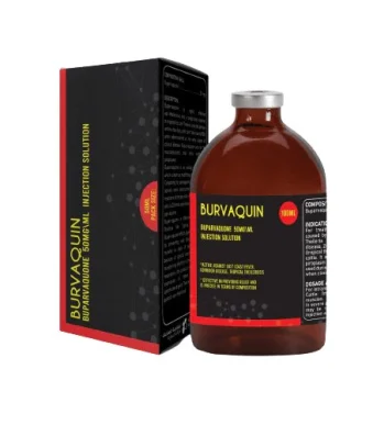 Buy Burvaquin Online