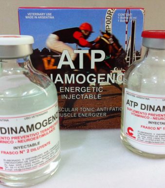 utp-dinamogeno.jpg
